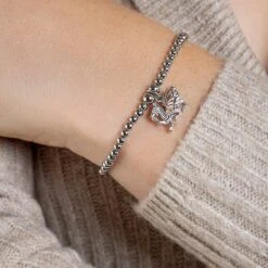 Welsh Dragon Silver Affinity Bracelet -Clogau 3SBB53S 2