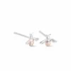Honey Bee Silver Stud Earrings -Clogau 3SHNBE