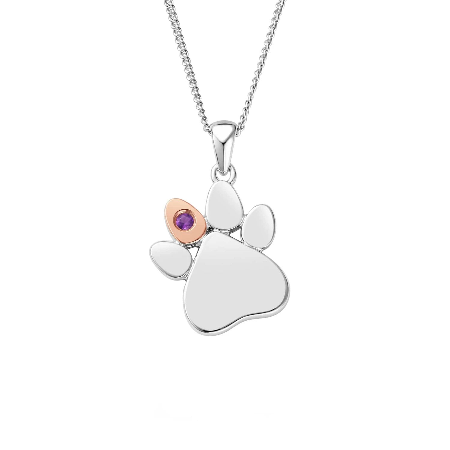 Paw Prints On My Heart Silver Birthstone Pendant – February 3 Paw Prints On My Heart Silver Birthstone Pendant – February