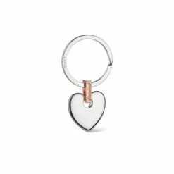 Cariad® Keyring